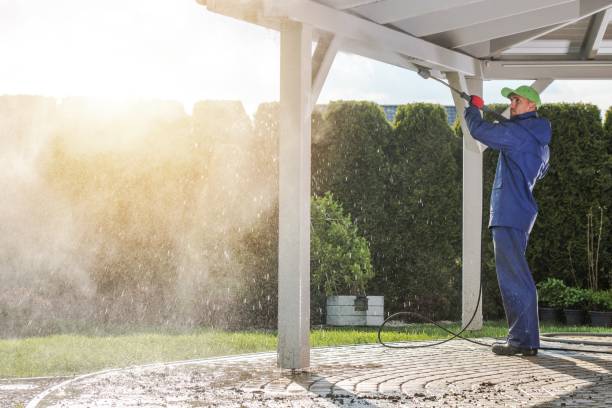 Animal Enclosure Cleaning in Foley, MN